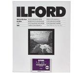 Ilford 1 x 25 MG RC DL 44M 18 x 24