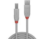 Cable USB LINDY (USB - USB)