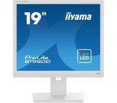 Iiyama ProLite B1980D-W5 19" LCD SXGA