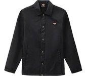 Dickies Chaqueta Oakport Coach