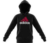 Jersey adidas  BL 2 HOODIE