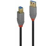 Cable USB LINDY (USB - USB)