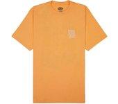 Camiseta dickies creswell papaya hombre