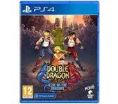 Double Dragon Gaiden: Rise of the Dragons