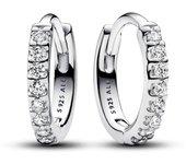 Pendientes Mujer Pandora 293015C01