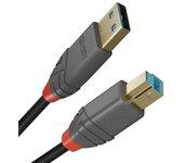 Cable USB LINDY (USB - USB)