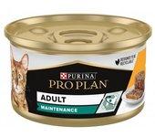 Pro Plan Adult Maintenance Pollo Tarrina Gatos 24 X 85 Gr