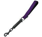 Correa para Perro Gloria 41 cm Morado