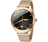 Maxcom Watch FW42 Gold