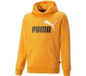 Puma Ess+2 Col Big Logo 586987