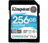 256gb sd canvas go plus 170r c10