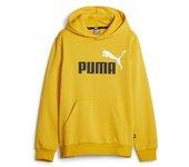 Puma Ess+2 Col Big Logo 586987