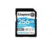 256gb sd canvas go plus 170r c10