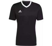 Camisetaadidas Entrada 22