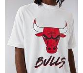 NEW ERA Nba Script Mesh Tee Chibul - Camiseta