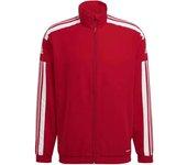 Chaqueta adidas Squadra 21 Training