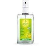 Desorante Spray De Citrus