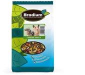 Alimentación para Pájaros BRADIUM Mezcla con Fruta (3.5 Kg)