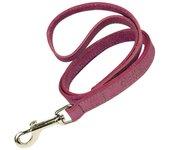 Correa para Perros GLORIA PETS (60x3 cm)