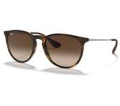 Ray-Ban Erika RB4171 865/13 54