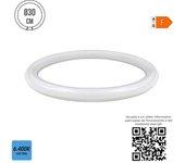 Tubo LED EDM Circular G10Q F 18 W 2100 Lm Ø 30 cm (6400 K)