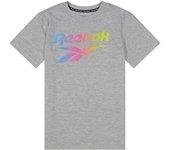 CAMISETA REEBOK GRADIENT LOGO GRIS LIGHTHEATHER EX7616