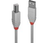 Cable USB LINDY (USB - USB)