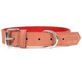 Collar para Perro Gloria Oasis Rojo (60 x 3 cm)