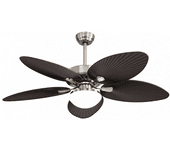 VENTILADOR  DC BORASCO 24W NIQ/MARRON 5 ASP.6