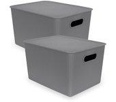 TATAY Baobab - Set de 2 Cajas Organizadoras 22L con Tapa en Plástico PP05. Gris Antracita