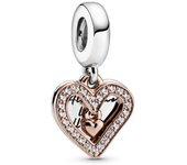 Charm Pandora 788693C01