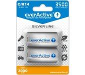 Pilas EverActive R14/C 1,2 V