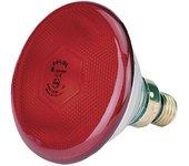 KERBL Bombilla Reforzada Philips 175 W, Roja