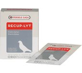 Oropharma Recup-Lyt 240g