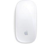 magic mouse