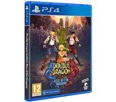 Double Dragon Gaiden Rise Of The Dragons Ps4 SOLO PARA JUEGOS