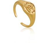 Anillo Mujer ANIA HAIE R009-03G (13)