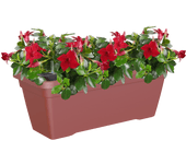 Jardinera auto riego de polipropileno venezia rojo 57.9x24,3x22 cm