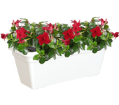 Jardinera auto riego de polipropileno venezia blanco 57.9x22 cm