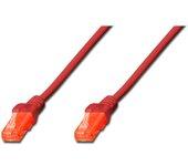 Cable de Red (RJ45 - 50 cm - Rojo)