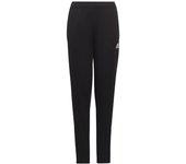 Pantalón chandal adidas  ENT22 TR PNT Y