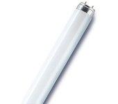 Tubo fluorescente recto t8 opaco 2400 lm 30 w blanco, osram