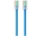 Cable de Red BELKIN (RJ45 - 5 m - Azul)