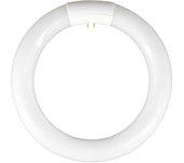 Tubo Fluorescente Circular T9 G10Q 22W 1300lm 6400K 7hSevenOn